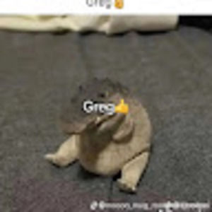 Meet your Posher, Gabriel